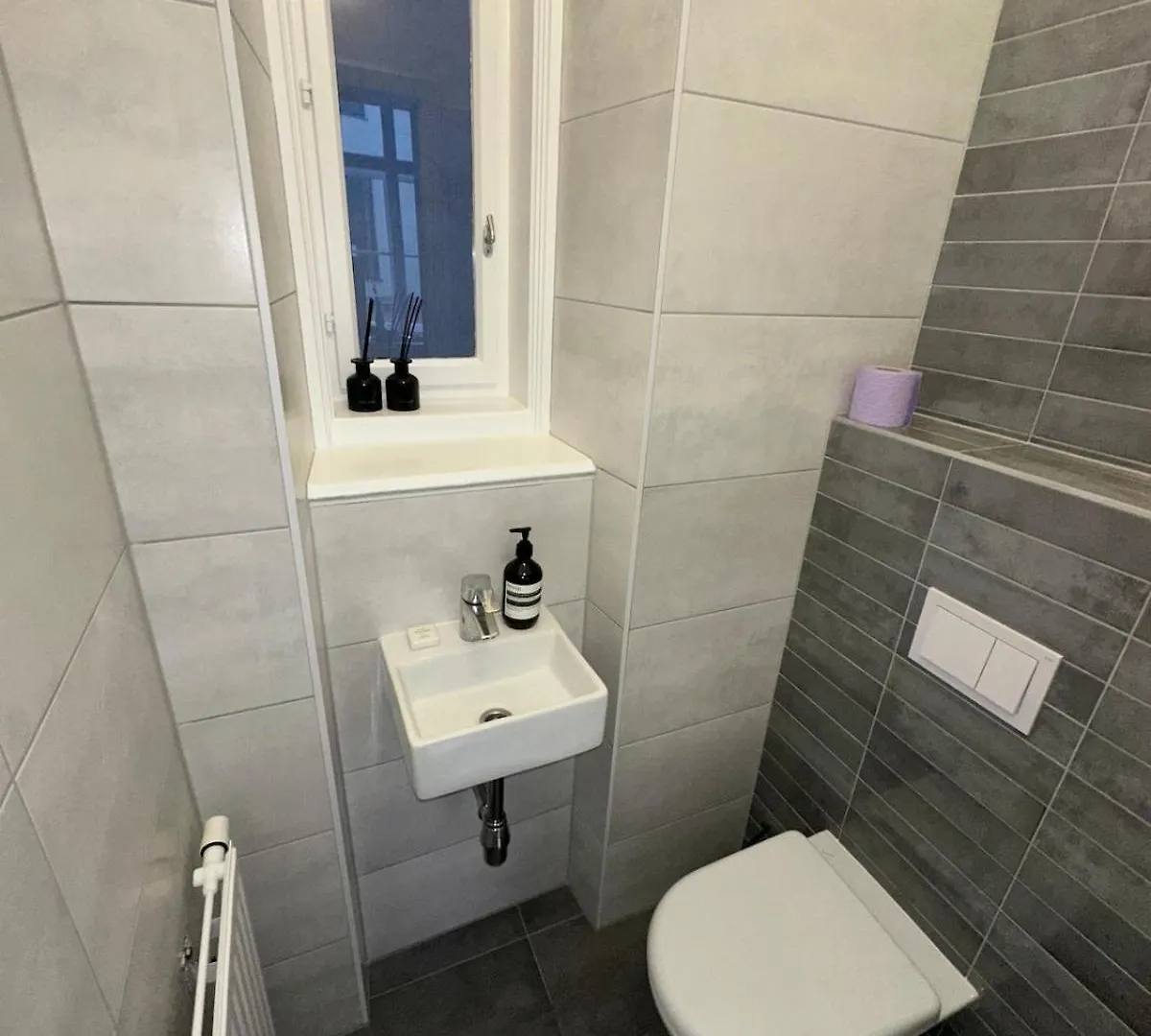 Luxury 1St District Apartment Vienna